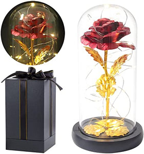 Beauty and Beast Rose With Black Base (Ships from USA)