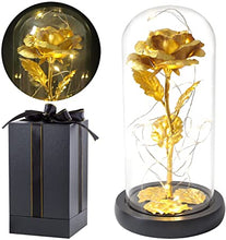 Load image into Gallery viewer, Beauty and Beast Rose With Black Base (Ships from USA)