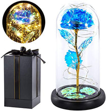Load image into Gallery viewer, Beauty and Beast Rose With Black Base (Ships from USA)