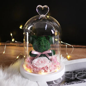Mini Rose Bear In Glass Dome