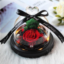 Load image into Gallery viewer, New Mini Rose Bear In Glass Dome With Night Light - Galaxy Rose