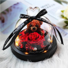 Load image into Gallery viewer, New Mini Rose Bear In Glass Dome With Night Light - Galaxy Rose