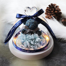 Load image into Gallery viewer, New Mini Rose Bear In Glass Dome With Night Light - Galaxy Rose