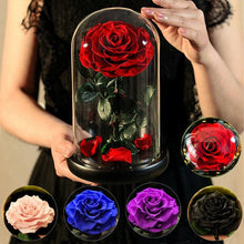 Load image into Gallery viewer, Forever Glowing Galaxy Roses