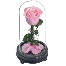 Load image into Gallery viewer, Love LED Red Rose