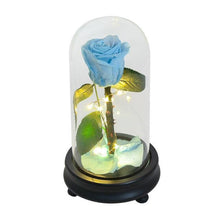 Load image into Gallery viewer, Love LED Red Rose