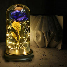 Load image into Gallery viewer, Beauty & The Beast Gold Foil Rose