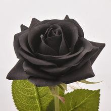 Load image into Gallery viewer, Eternal Silk Rose In Glass Dome