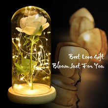 Load image into Gallery viewer, Eternal Silk Rose In Glass Dome