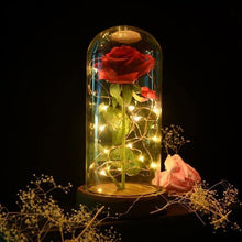 Load image into Gallery viewer, Eternal Silk Rose In Glass Dome