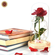 Load image into Gallery viewer, Eternal Silk Rose In Glass Dome