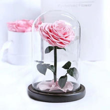 Load image into Gallery viewer, Heart Shaped Preserved Rose in Glass Dome