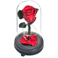 Load image into Gallery viewer, Love LED Red Rose
