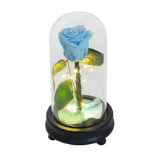 Load image into Gallery viewer, Love LED Red Rose