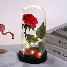 Load image into Gallery viewer, LED Enchanted Rose In Glass Dome