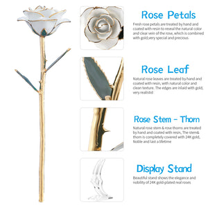 24k Gold Dipped Rose Flowers with Stand (Ships From USA)