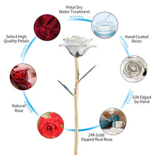 Load image into Gallery viewer, 24k Gold Dipped Rose Flowers with Stand (Ships From USA)