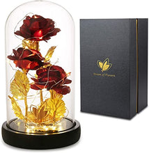 Load image into Gallery viewer, 3 Head Beautiful Roses with Golden Stem &amp; LED (Ships from USA)
