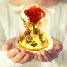 Load image into Gallery viewer, Eternal Rose Flower In Glass Dome 
