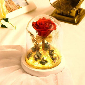Eternal Rose Flower In Glass Dome 