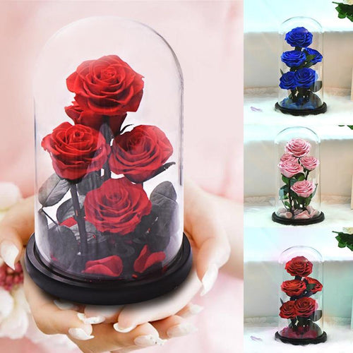 Rose Flowers Preserved in Glass Dome
