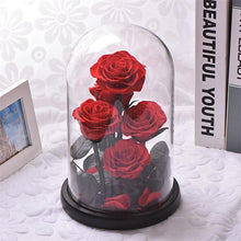 Load image into Gallery viewer, Rose Flowers Preserved in Glass Dome
