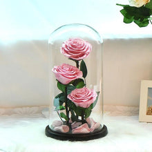 Load image into Gallery viewer, Preserved Roses In Glass Dome
