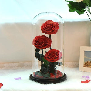 Preserved Roses In Glass Dome