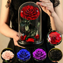 Load image into Gallery viewer, Forever Glowing Galaxy Roses
