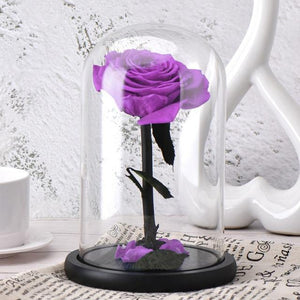 Eternal Rose Beauty and The Beast Everlasting Artificial Flowers In Glass Dome - Galaxy Rose