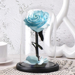 Forever Glowing Galaxy Roses