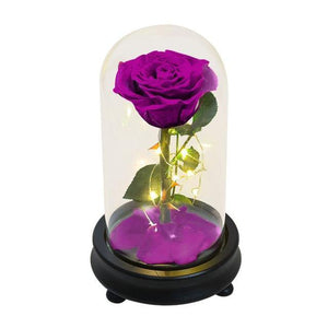 Beauty And The Beast LED Eternal Red Rose In Glass Dome - Galaxy Rose