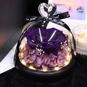 Eternal LED Lighted Rose in Glass Dome