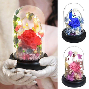 Preserved Galaxy Rose In Glass Dome