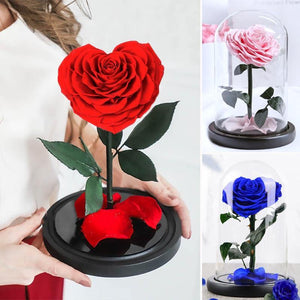 Heart Shaped Preserved Rose in Glass Dome