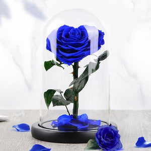 Heart Shaped Preserved Rose in Glass Dome