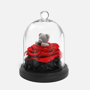 Bunny Bear Rose in Glass Dome