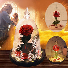 Load image into Gallery viewer, Silk Rose Flower in Glass Dome
