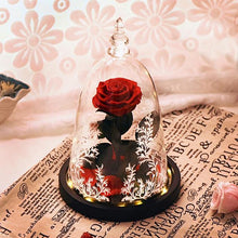 Load image into Gallery viewer, Silk Rose Flower in Glass Dome
