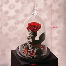 Load image into Gallery viewer, Eternal Artificial Red Rose
