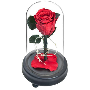 Love LED Red Rose
