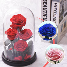 Load image into Gallery viewer, Rose Flowers Preserved in Glass Dome
