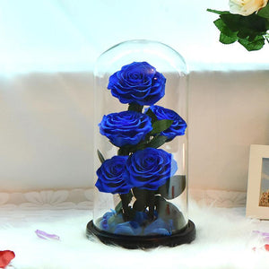 Rose Flowers Preserved in Glass Dome