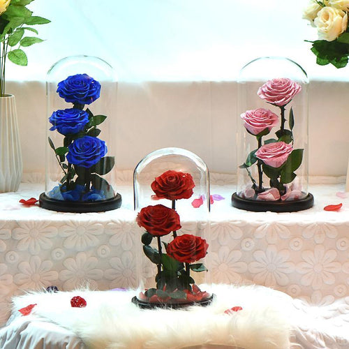 Preserved Roses In Glass Dome