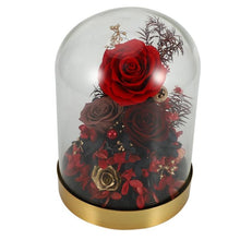 Load image into Gallery viewer, Attractive Enchanted Rose in Glass Dome
