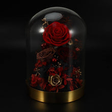 Load image into Gallery viewer, Attractive Enchanted Rose in Glass Dome
