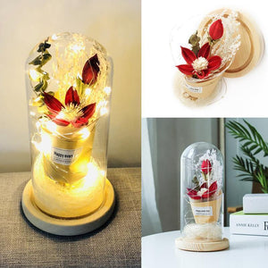 Romantic Lighted Rose In Glass Dome